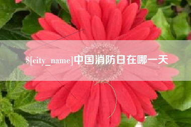 大丰中国消防日在哪一天