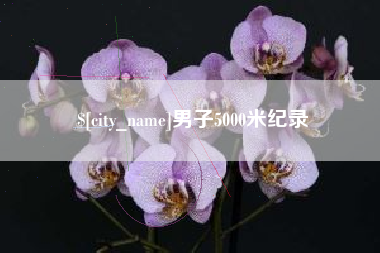 大丰男子5000米纪录