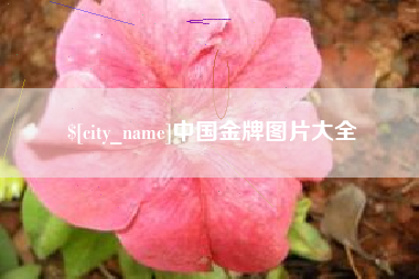 大丰中国金牌图片大全