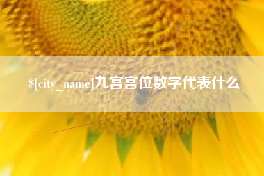 大丰九宫宫位数字代表什么