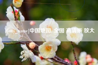 大丰中国地图. 全图 高清晰 放大