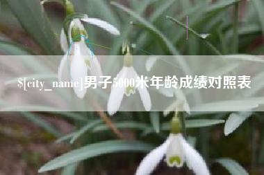 大丰男子5000米年龄成绩对照表