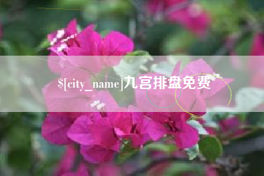 大丰九宫排盘免费