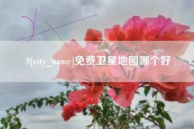 大丰免费卫星地图哪个好