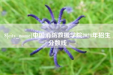 大丰中国消防救援学院2024年招生分数线