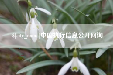 大丰中国执行信息公开网询