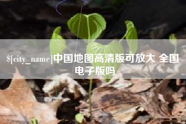 大丰中国地图高清版可放大 全国 电子版吗