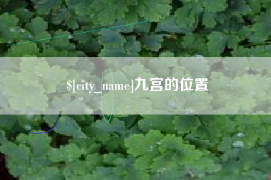 大丰九宫的位置
