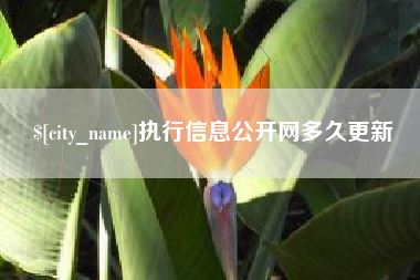 大丰执行信息公开网多久更新