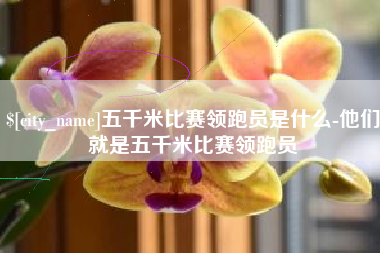 大丰五千米比赛领跑员是什么-他们就是五千米比赛领跑员