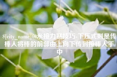 大丰60米接力赛技巧-下压式则是传棒人将棒的前部由上向下传到接棒人手中