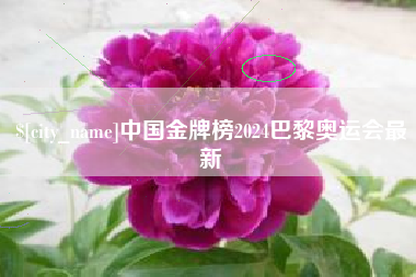 大丰中国金牌榜2024巴黎奥运会最新