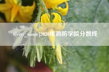 大丰2020年消防学院分数线