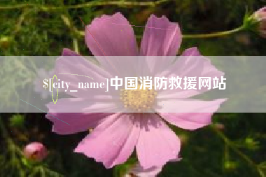 大丰中国消防救援网站