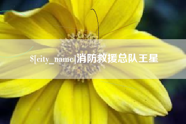 大丰消防救援总队王星