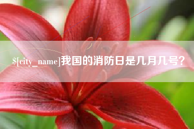 大丰我国的消防日是几月几号？