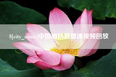 大丰中国消防直播课视频回放