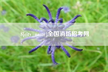 大丰全国消防招考网