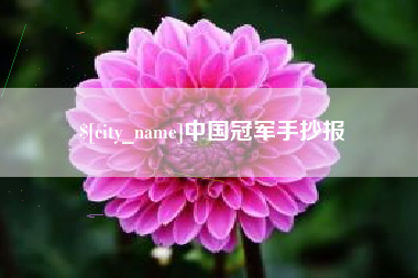 大丰中国冠军手抄报
