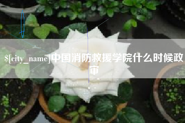 大丰中国消防救援学院什么时候政审