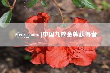 大丰中国九枚金牌获得者