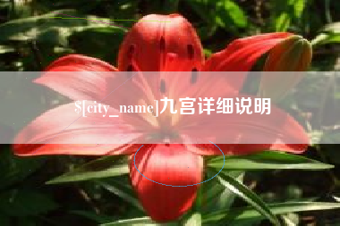大丰九宫详细说明