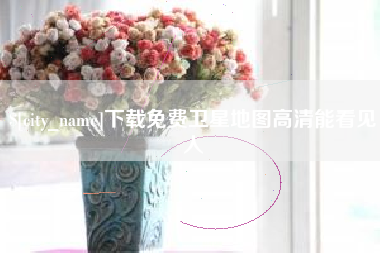 大丰下载免费卫星地图高清能看见人