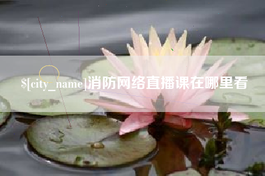 大丰消防网络直播课在哪里看