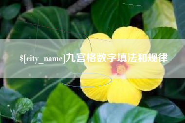 大丰九宫格数字填法和规律