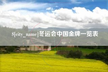 大丰冬运会中国金牌一览表