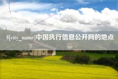 大丰中国执行信息公开网的地点