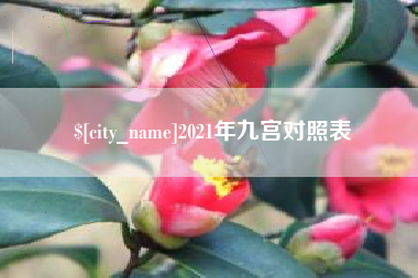 大丰2021年九宫对照表