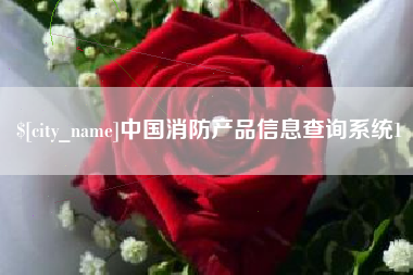 大丰中国消防产品信息查询系统1