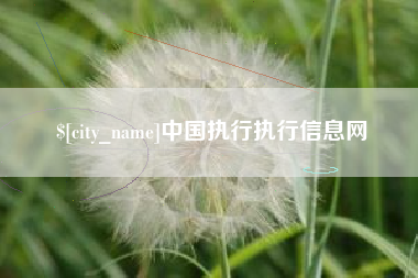 大丰中国执行执行信息网