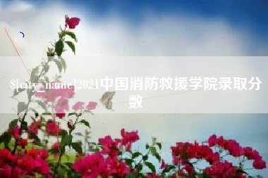 大丰2021中国消防救援学院录取分数
