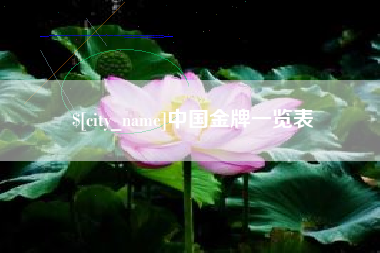 大丰中国金牌一览表