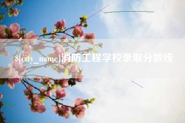 大丰消防工程学校录取分数线