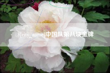 大丰中国队第八块金牌