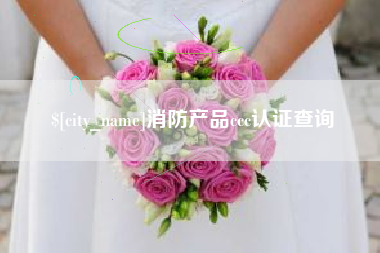 大丰消防产品ccc认证查询