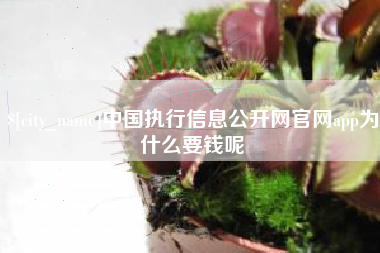 大丰中国执行信息公开网官网app为什么要钱呢