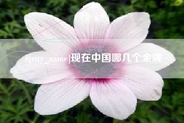 大丰现在中国哪几个金牌