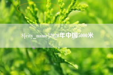 大丰2020年中国5000米