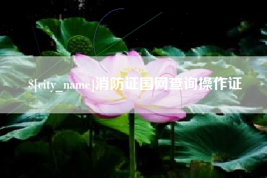 大丰消防证国网查询操作证