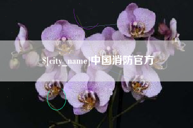 大丰中国消防官方