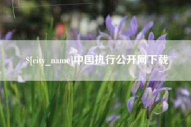 大丰中国执行公开网下载