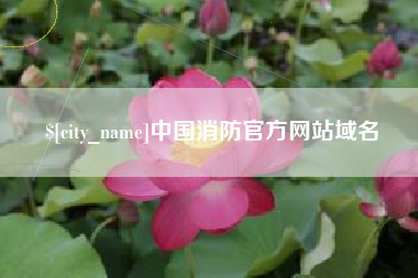 大丰中国消防官方网站域名