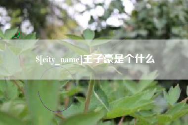 大丰王子豪是个什么