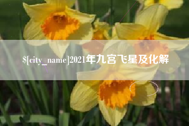 大丰2021年九宫飞星及化解