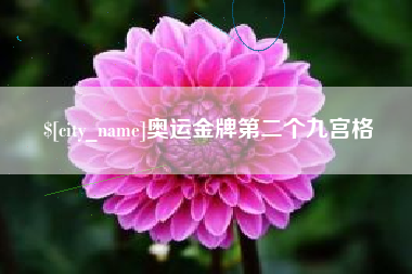 大丰奥运金牌第二个九宫格