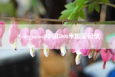 大丰中国5000米国家记录